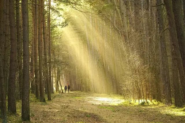 How to Choose the Right Activity for Your Next Adventure