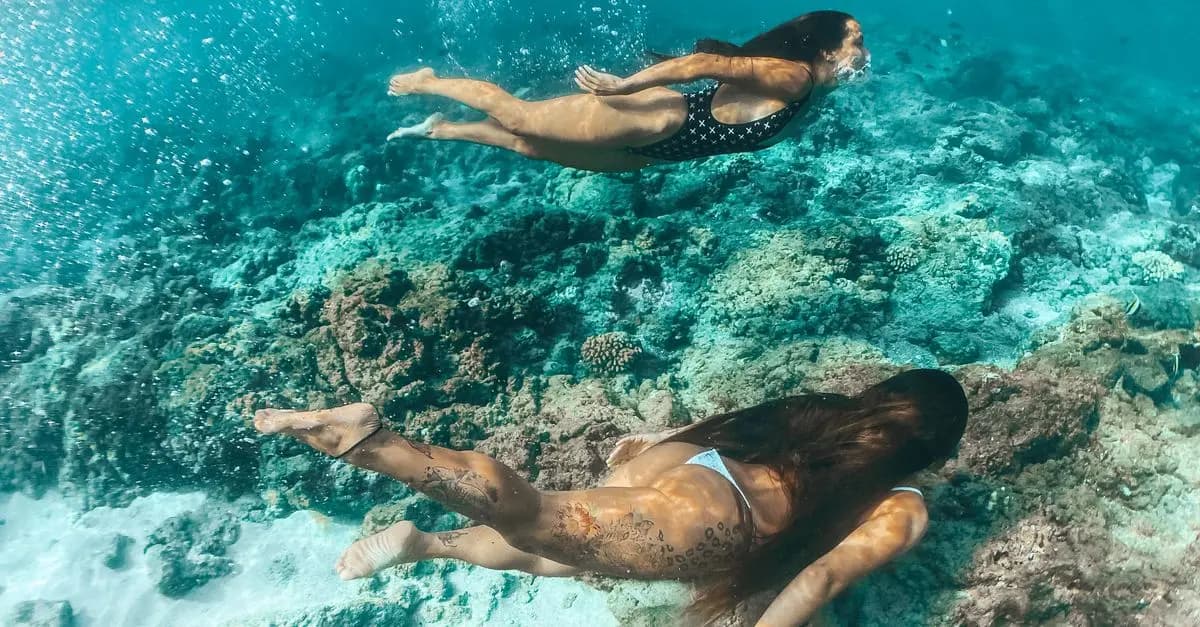 The Ultimate Guide to Scuba Diving Locations