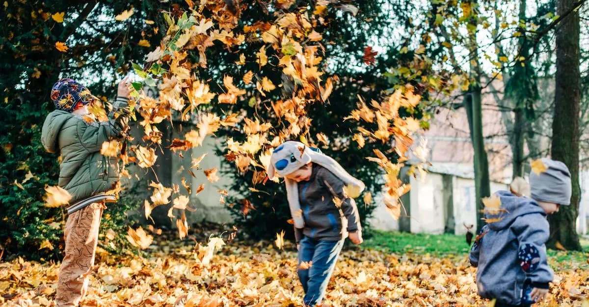 How to Use Activity Finder Pro for Seasonal Adventures
