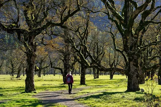 How to Effectively Use Activity Finder Pro for Weekend Getaways