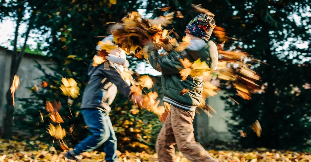 How to Find the Best Seasonal Activities with Activity Finder Pro