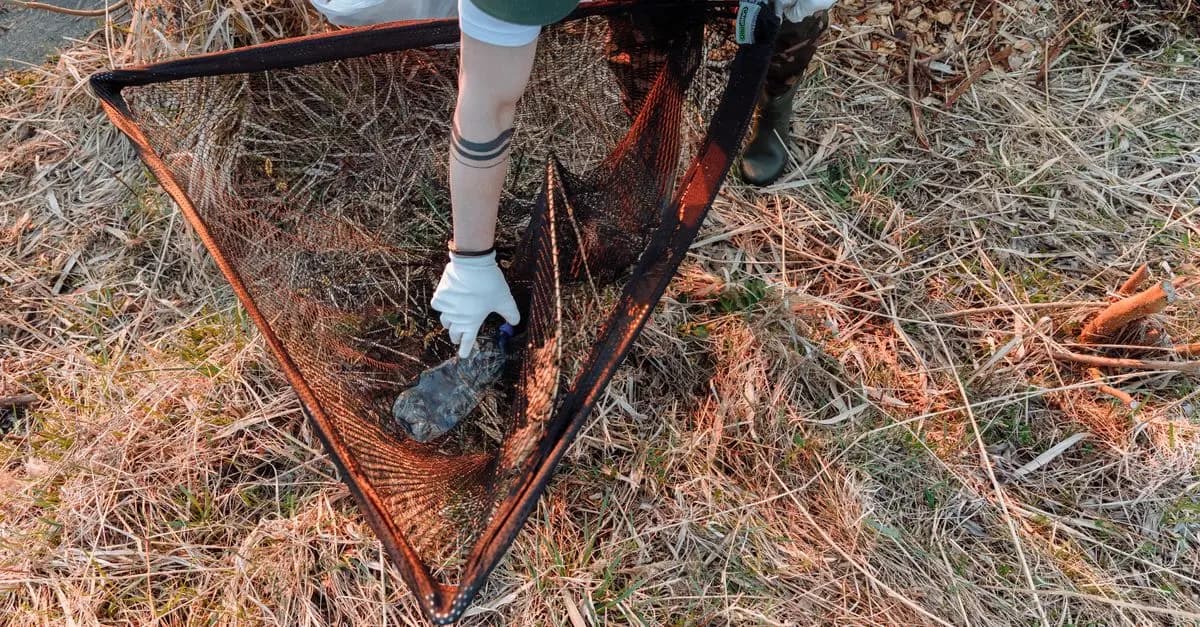 Eco-Friendly Activities Near Me