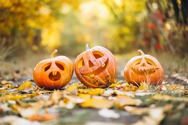 How to Find the Best Seasonal Activities with Activity Finder Pro