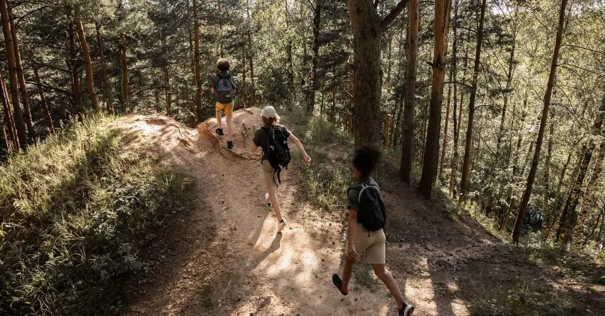 Comparing City and Country: Which is the Best for Activities?
