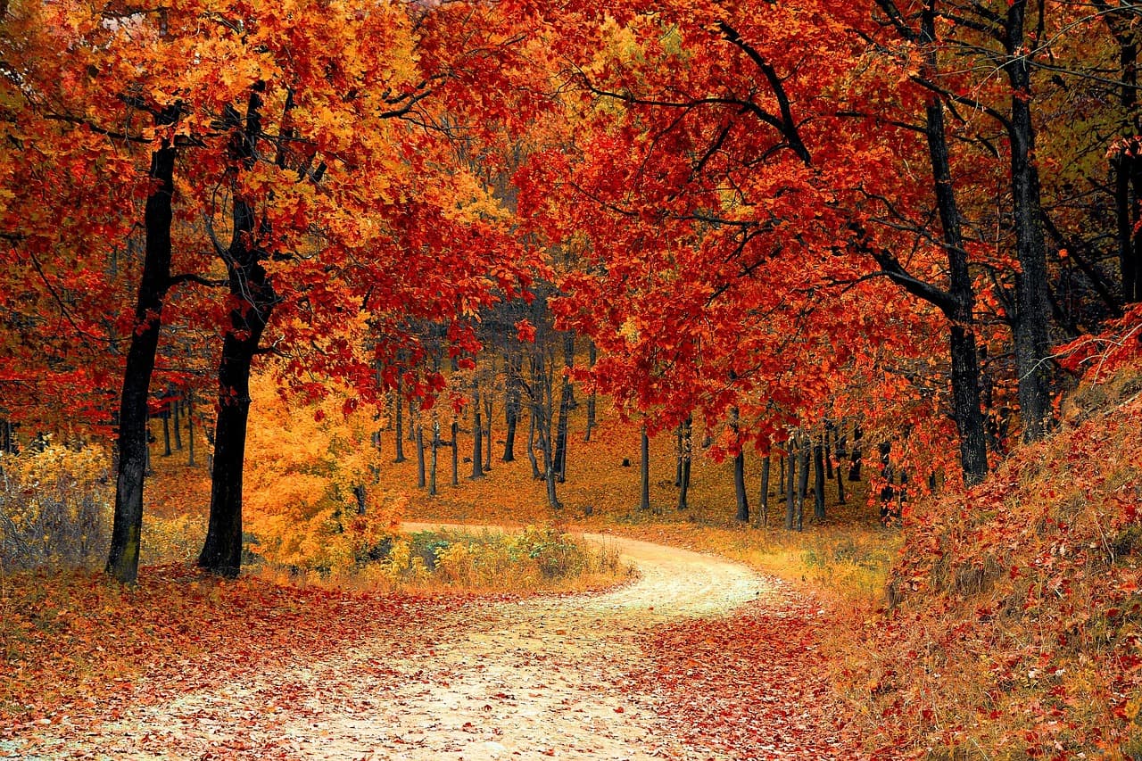 10 Must-Try Activities for Nature Lovers with Activity Finder Pro