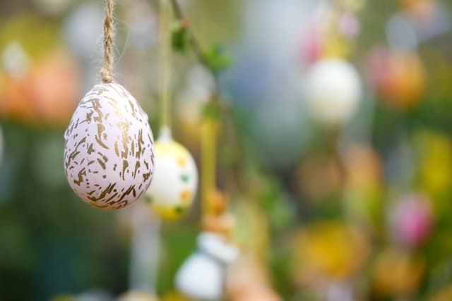 5 Unique Seasonal Activities to Try with Activity Finder Pro
