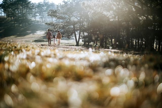 Top Tips for Planning Unique Experiences with Activity Finder Pro